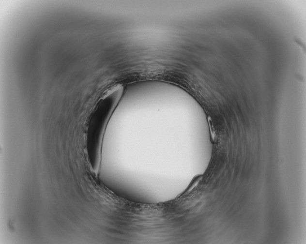 X0000095891153200801251156