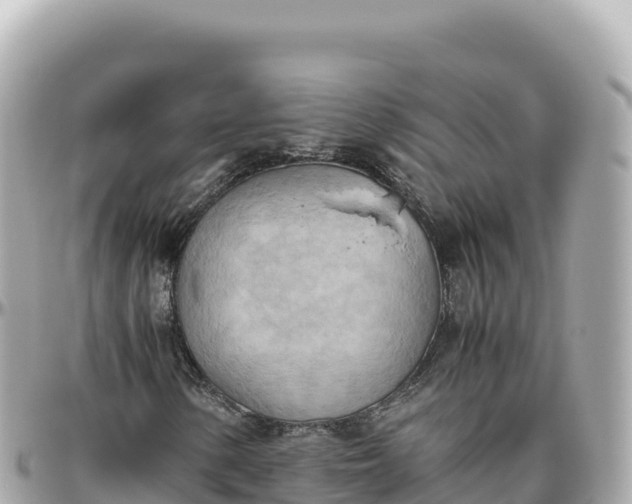 X0000095891154200801251156