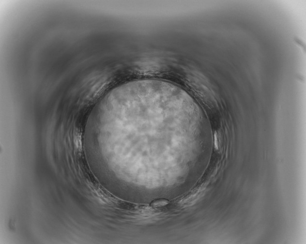 X0000095891155200801251156