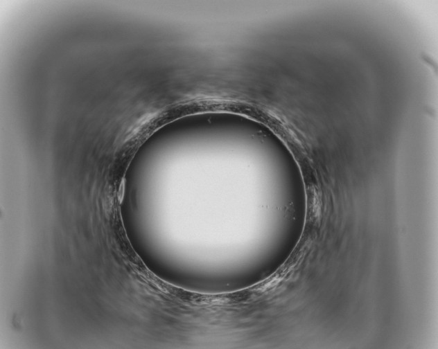 X0000095891157200801251156