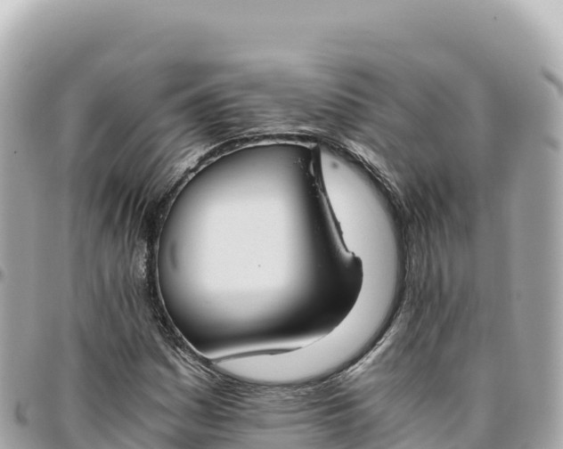 X0000095891161200801251156