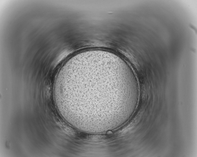 X0000095891163200801251156