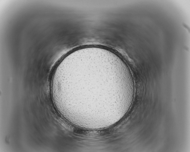 X0000095891167200801251156