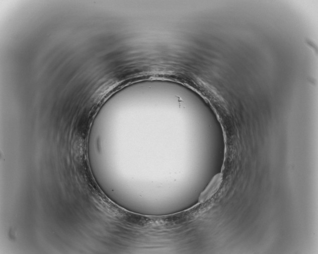 X0000095891169200801251156