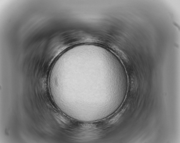 X0000095891170200801251156