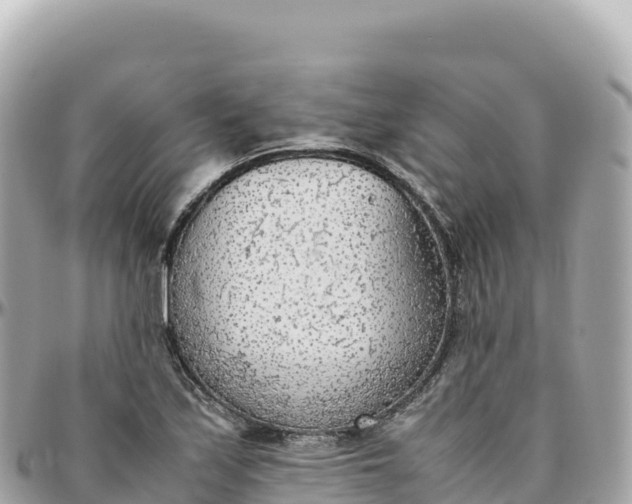 X0000095891171200801251156