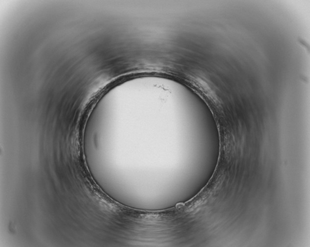 X0000095891172200801251156