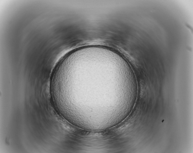 X0000095891174200801251156
