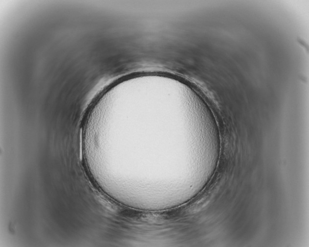 X0000095891175200801251156