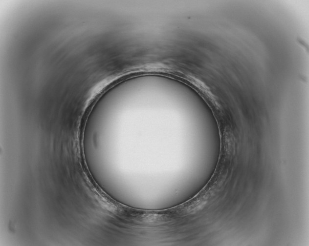 X0000095891176200801251156