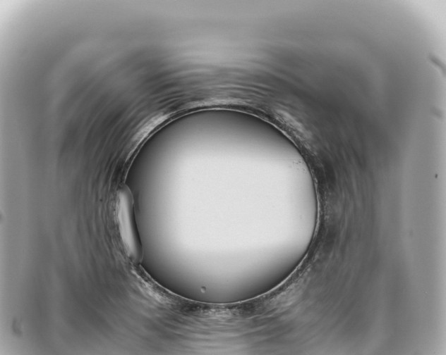 X0000095891177200801251156