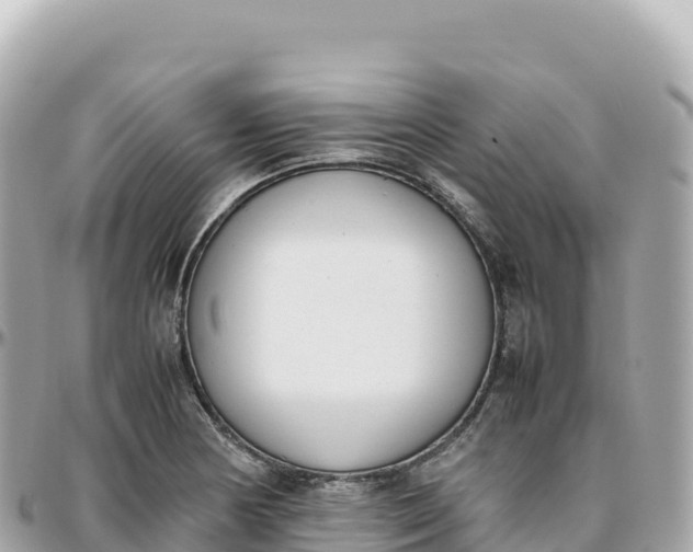 X0000095891178200801251156