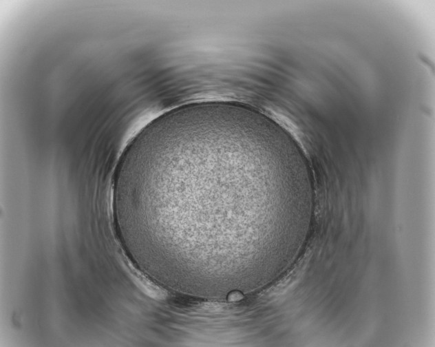 X0000095891179200801251155