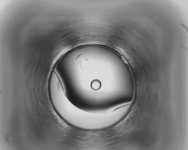 X0000095891181200801251155