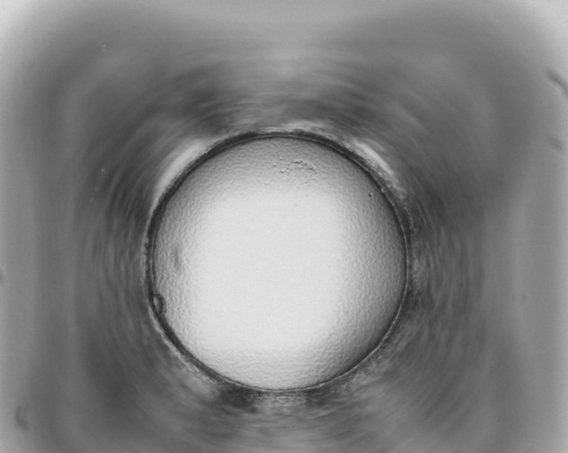 X0000095891183200801251155