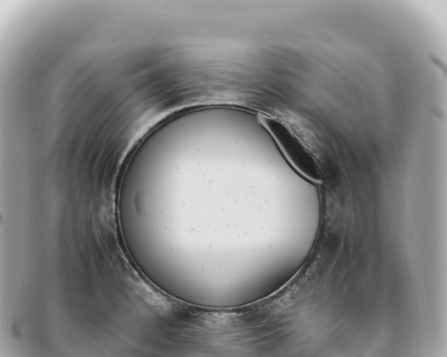 X0000095891184200801251155