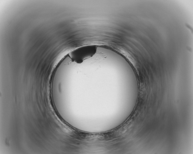 X0000095891187200801251155