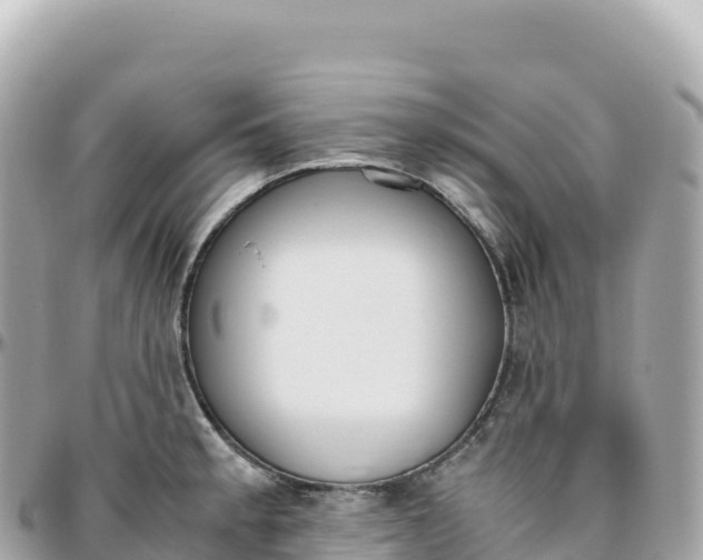 X0000095891189200801251155