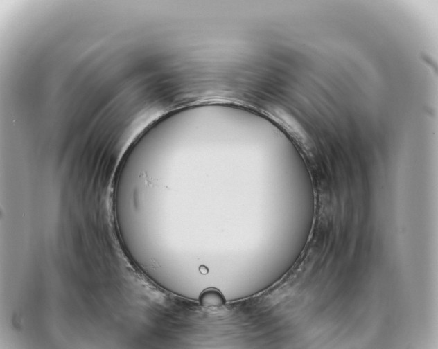 X0000095891190200801251155