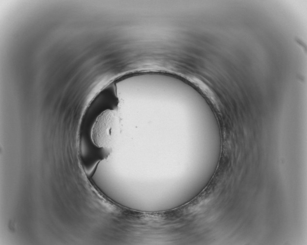 X0000095891191200801251155