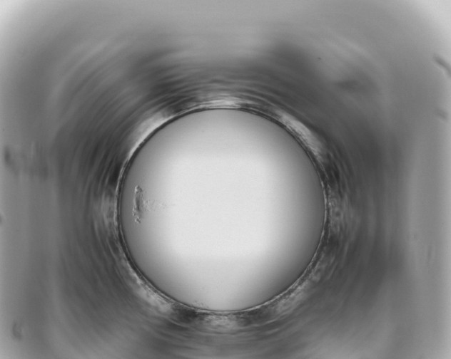 X0000095891194200801251155