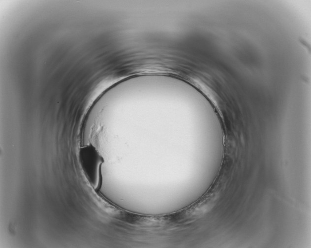 X0000095891195200801251155