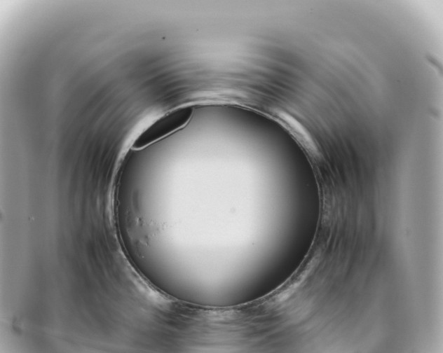 X0000095891196200801251155