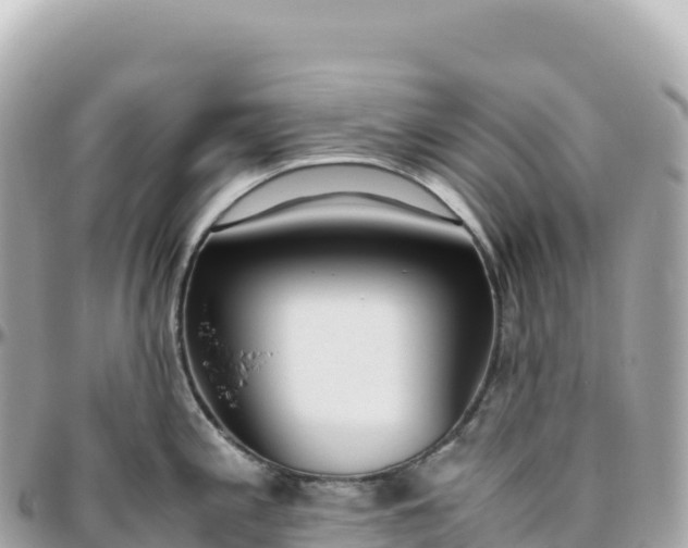 X0000095891197200801251155