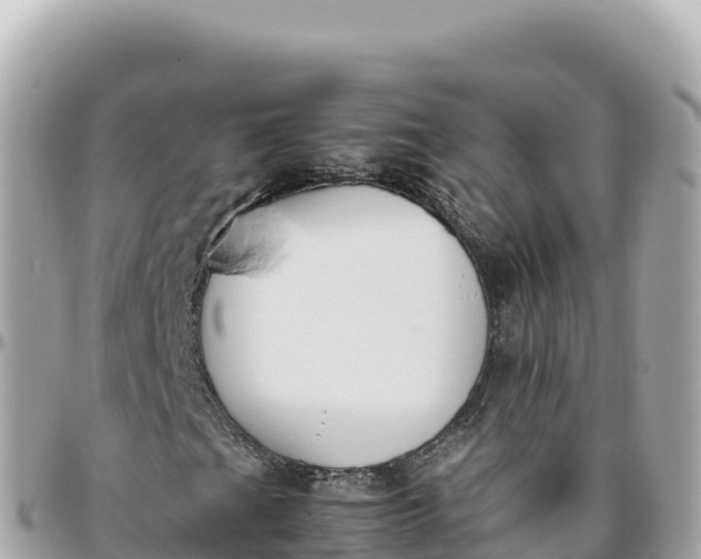 X0000095891201200801251155