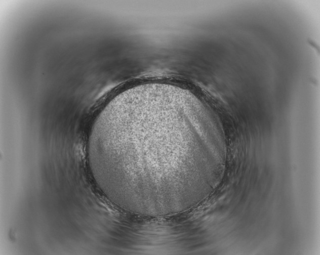 X0000095891206200801251155