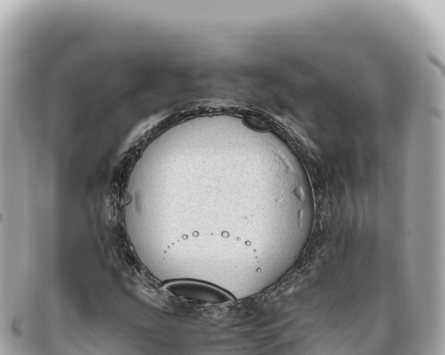 X0000095891207200801251155