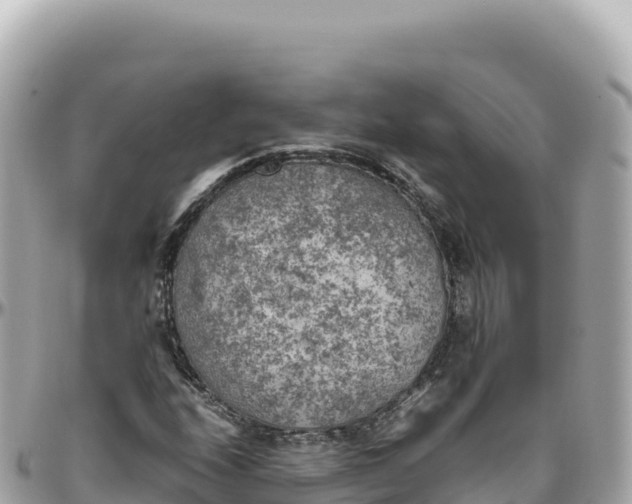 X0000095891208200801251155