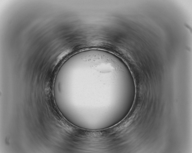 X0000095891210200801251155