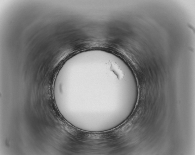 X0000095891211200801251155