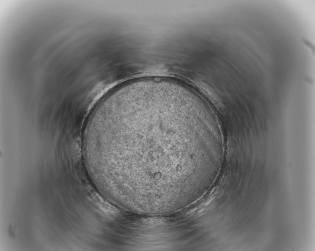 X0000095891212200801251155
