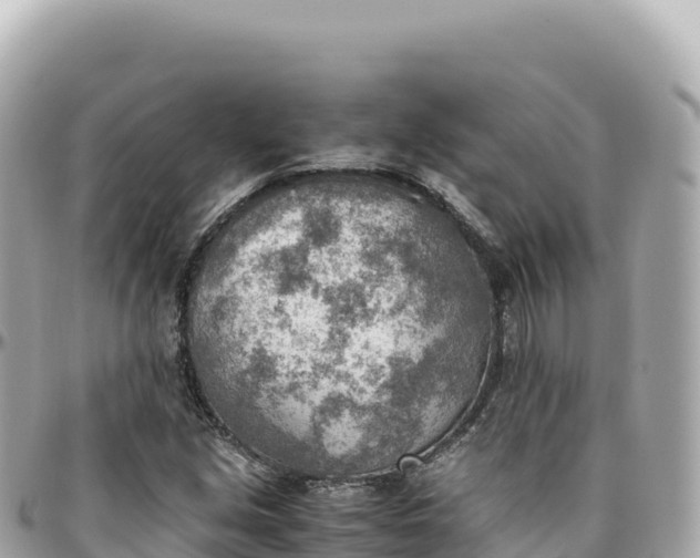 X0000095891213200801251155