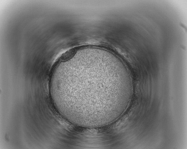 X0000095891214200801251155