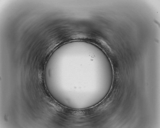 X0000095891217200801251155