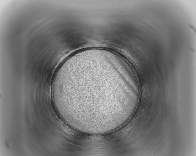 X0000095891220200801251155