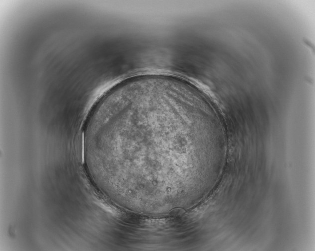 X0000095891223200801251155