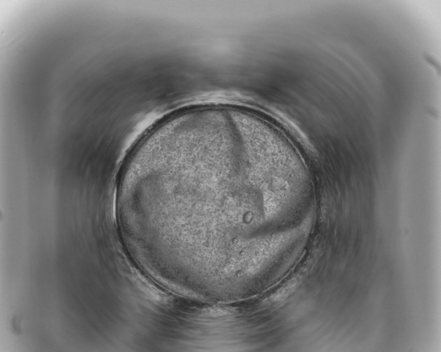 X0000095891224200801251155