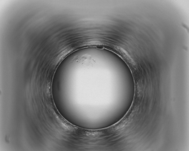 X0000095891225200801251155