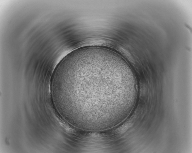 X0000095891226200801251155