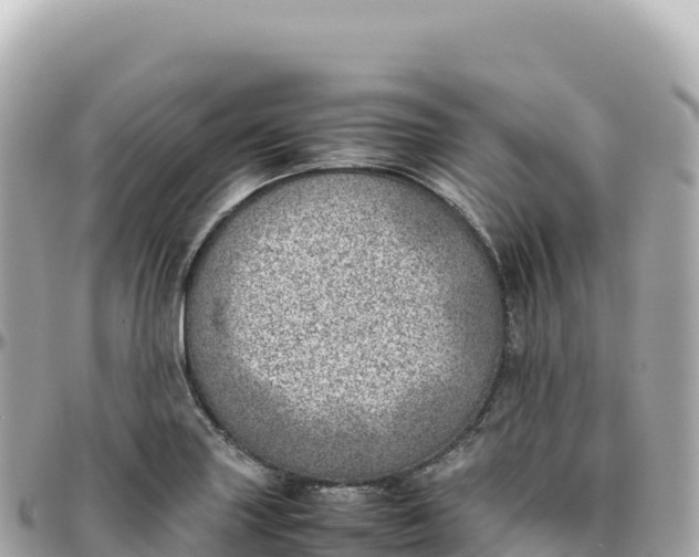 X0000095891227200801251155