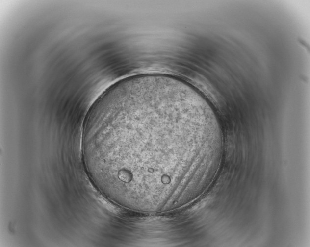 X0000095891228200801251155