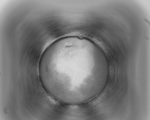 X0000095891230200801251155