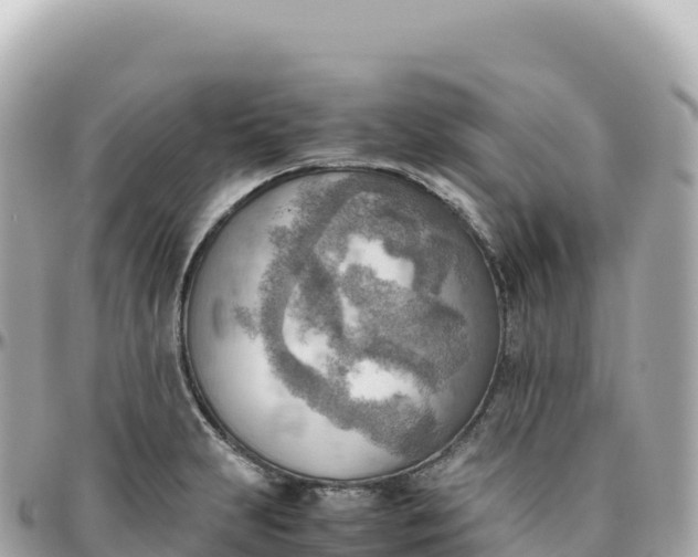 X0000095891231200801251155
