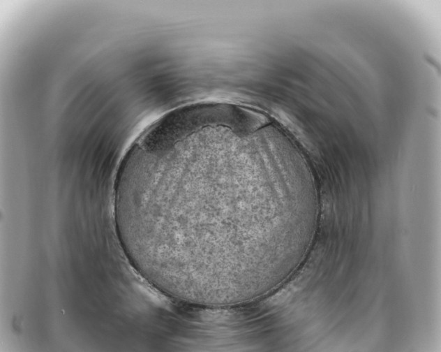 X0000095891232200801251155