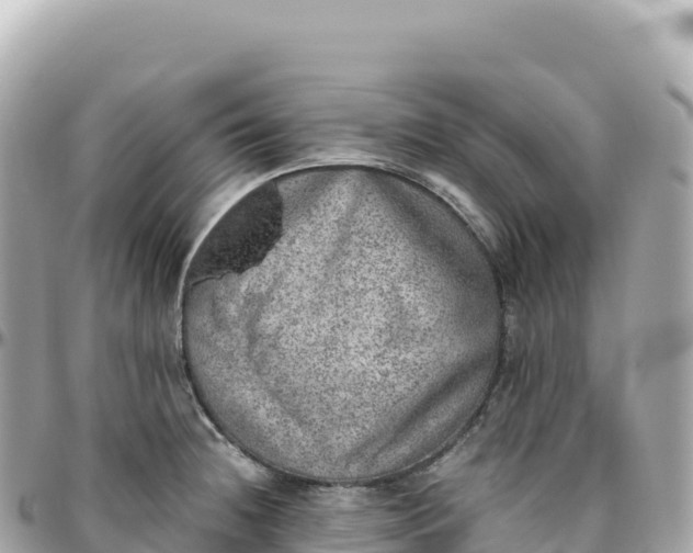 X0000095891236200801251155