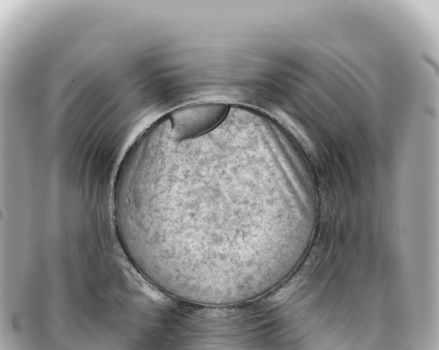X0000095891240200801251155